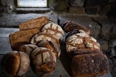 11-Basalture-brood