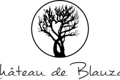Chateau de blauzac
