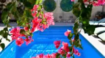 Charming B&B/Villa Dar ta'Zeppi - Logeren bij Belgen op Malta