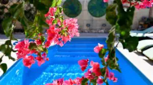 Charming B&B/Villa Dar ta'Zeppi - Logeren bij Belgen op Malta