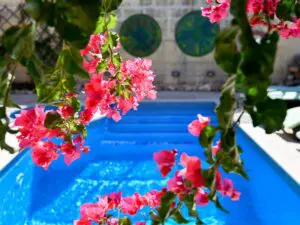 Charming B&B/Villa Dar ta'Zeppi - Logeren bij Belgen op Malta