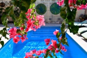 Charming B&B/Villa Dar ta'Zeppi - Logeren bij Belgen op Malta