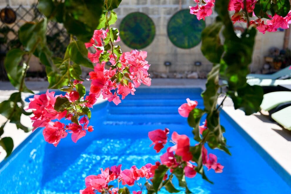 Charming B&B/Villa Dar ta'Zeppi - Logeren bij Belgen op Malta