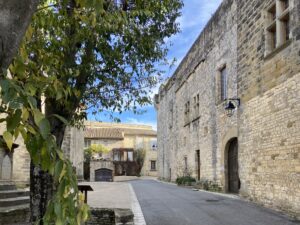 Le Château de Blauzac - Logeren bij Belgen in Frankrijk