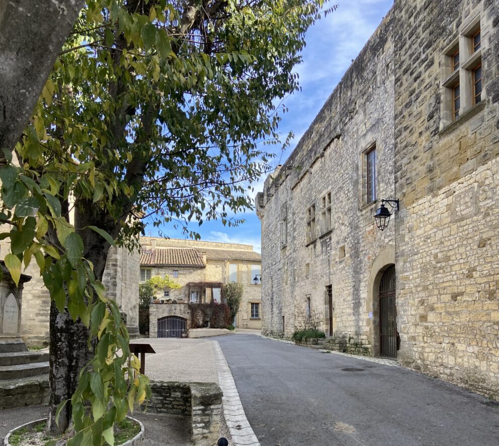 Le Château de Blauzac - Logeren bij Belgen in Frankrijk